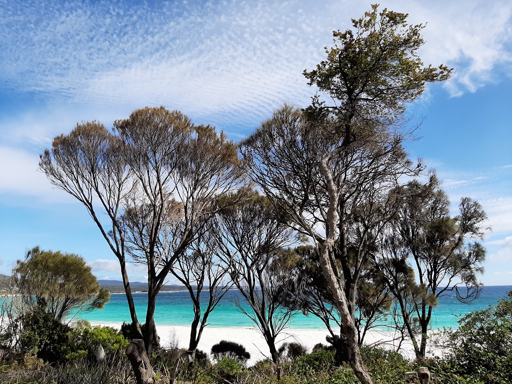 Soleil, plage et Wallibis